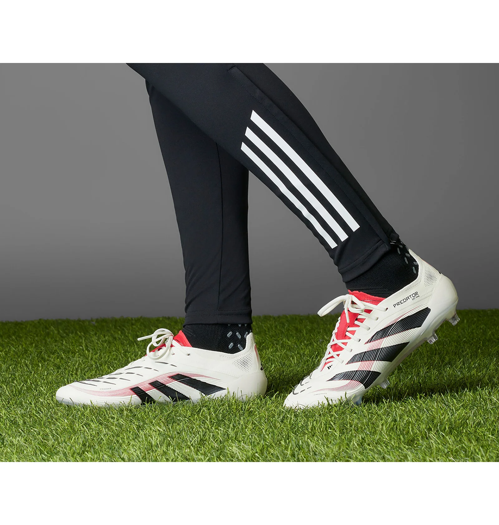 ᐉ Бутсы мужские Adidas Predator Elite White/Black ID3880 - купить