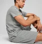Шорты мужские Puma Ess Shorts 10 Grey 682598-03