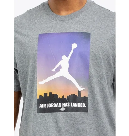 Футболка мужская Air Jordan 23 Grey CU2839-091