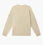 Свитшот мужской Stone Island Ghost Beige K1S156100011S00F3-V0090