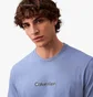 Футболка чоловіча Calvin Klein Standard Logo Classic Blue 4RB843G420