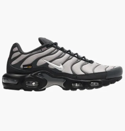 Кросівки чоловічі Nike Air Max Plus Grey IM5983-070