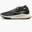 Кроссовки мужские Nike Pegasus Trail 4 Gore-Tex Black DJ7926-005