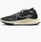 Кроссовки мужские Nike Pegasus Trail 4 Gore-Tex Black DJ7926-005