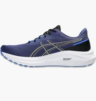 Кросівки чоловічі Asics Gt-1000 13 Blue 1011B858-402