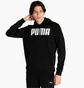 Худи мужское Puma Essentials Black 847237-01
