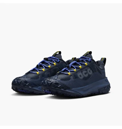 Кроссовки мужские Nike Acg Mountain Fly 2 Low Gore-Tex Blue HF6245-400