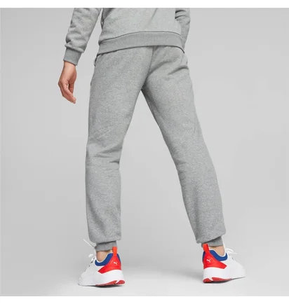 Штаны мужские Puma Bmw M Rsport Ess Grey 621302-03