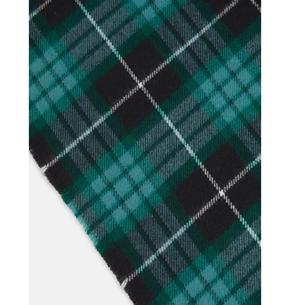 Шарф Dickies Stevensville Green DK0A4Z3HBLK