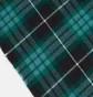 Шарф Dickies Stevensville Green DK0A4Z3HBLK