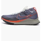 Кроссовки мужские Nike Pegasus Trail 4 Gore-Tex Violet DJ7926-006