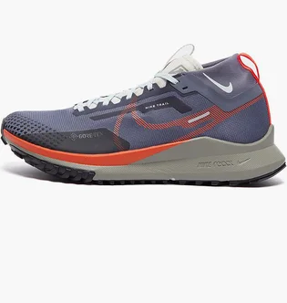 Кроссовки мужские Nike Pegasus Trail 4 Gore-Tex Violet DJ7926-006