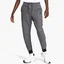 Штани чоловічі Nike Nsw Tch Flc Winter Jggr Grey Dq4808-010