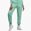 Штаны женские Air Jordan Essentials Green Dn4575-379