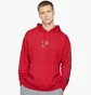 Худи мужское Air Jordan Legacy Red Cj9083-687