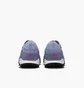 Сороконіжки унісекс Nike Tiempo Legend 10 Pro Grey DV4336-402