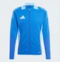 Олимпийка мужская Adidas Tiro 24 Competition Training Blue IP1876
