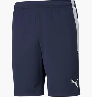 Шорти чоловічі Puma Teamliga Training Shorts Blue 657249-06