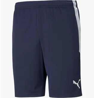 Шорты мужские Puma Teamliga Training Shorts Blue 657249-06