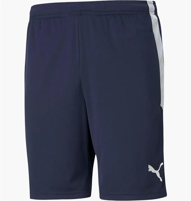 Шорты мужские Puma Teamliga Training Shorts Blue 657249-06