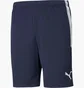 Шорты мужские Puma Teamliga Training Shorts Blue 657249-06
