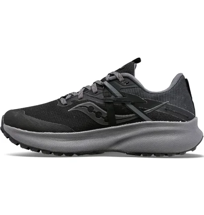 Кроссовки мужские Saucony Ride 15 Tr Gtx Black S10799-10