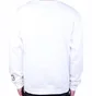 Лонгслив мужской Air Jordan Sport White CK9569-100