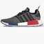 Кросівки чоловічі Adidas Nmd_R1 Shoes Grey GZ7924
