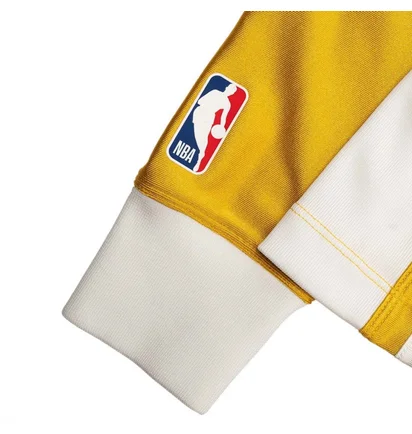 Лонгслив женский Nike W Nrg Ir Top Los Angeles Lakers Long Sleeves Tee Yellow DB1613-723