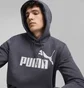 Худи мужское Puma Ess Big Logo Hoodie Fl Blue 586687-23