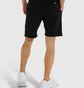 Шорты мужские Ellesse Bossini Black SHS08748-011