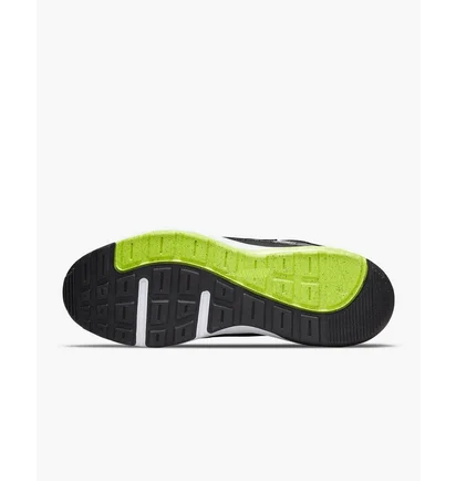 Кроссовки мужские Nike Air Max Ap Grey CU4826-006