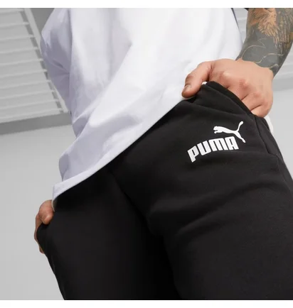Спортивный костюм мужской Puma Essentials Logo Sweatpants & Hoodie Black 847228-01__586716-01