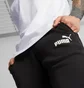 Спортивный костюм мужской Puma Essentials Logo Sweatpants & Hoodie Black 847228-01__586716-01