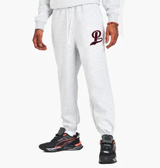Штаны мужские Puma Team Official Emblem Graphic Sweatpants White 538901-04