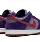 Кроссовки мужские Nike Dunk Low Retro Sp Violet CU1726-500