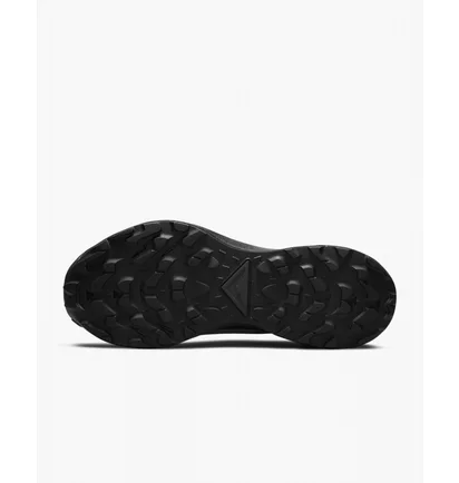Кросівки жіночі Nike Pegasus Trail 3 Gtx Black DC8794-001