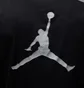 Футболка мужская Air Jordan J Mvp Jumpman Ss Crew Black IB7522-010