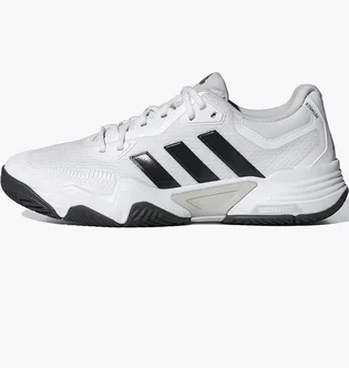 Кросівки чоловічі Adidas Solematch Control 2 Tennis Shoes White IF9110