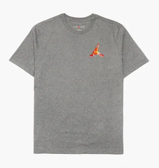 Футболка чоловіча Air Jordan Jumpan 3D Tee Tshirt Grey DH8966-091