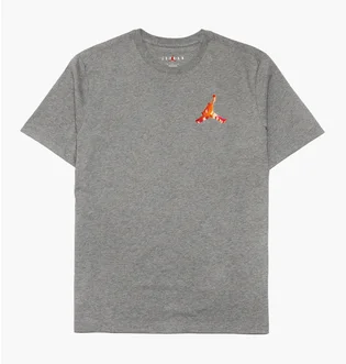 Футболка мужская Air Jordan Jumpan 3D Tee Tshirt Grey DH8966-091