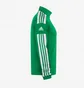 Олімпійка чоловіча Adidas Squadra 21 Training Jacket Green GP6462