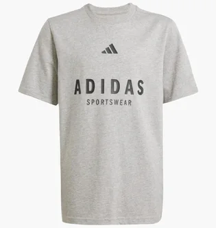 Футболка детская Adidas All Szn Graphic Tee Grey JC7641