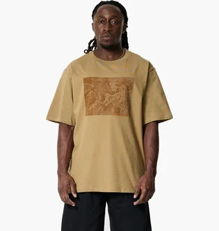 Футболка чоловіча Arc'teryx Kragg Lithographica Beige X000009926-CANVAS