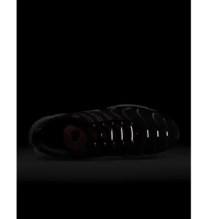 Кросівки чоловічі Nike Air Max Plus Black Dm0032-004