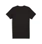 Футболка мужская Puma Evostripe Tee Black 684611-01