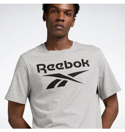 Футболка мужская Reebok Identity Big Stacked Logo T-Shirt Grey 100071173
