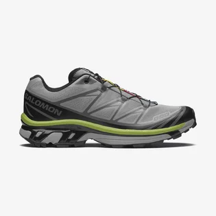 Кроссовки мужские Salomon Xt-6 Grey L47739000