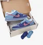 Кроссовки мужские Nike Sb Dulow Run The Jewels Blue