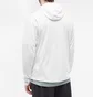 Худі чоловіче Nike Acg Dri-Fit Adv Lava Tree Hoody White DX6967-121